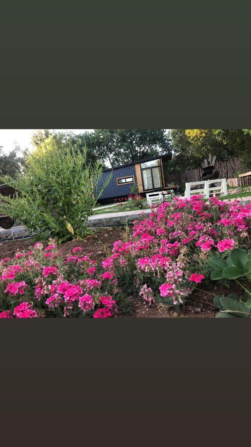 فندق Tiny House Kayakoey Kumquat المظهر الخارجي الصورة